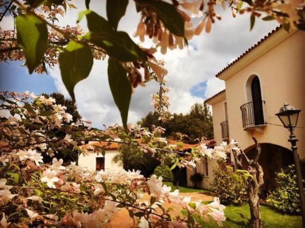 Hotel Taloro غافوي المظهر الخارجي الصورة
